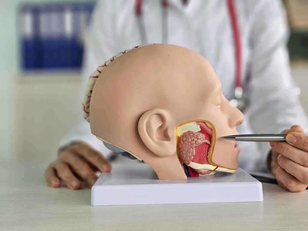 what does a speech pathologist do